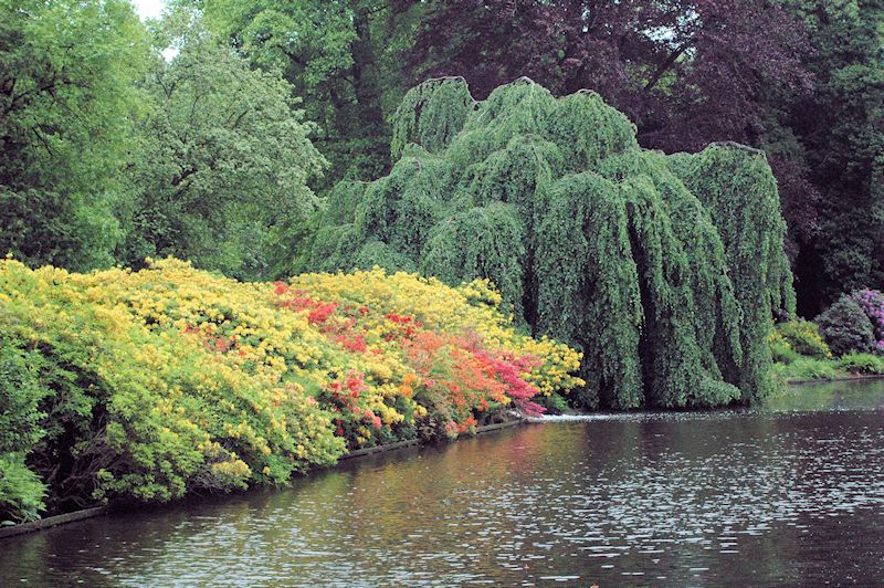 Schlossgarten Oldenburg, Ferienwohnung Sander
