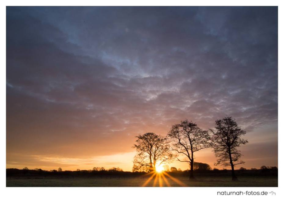 Ferienwohnung Sander Goldenstedt